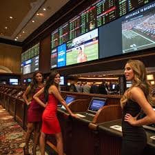 Antarmuka meja live roulette cs bola dengan statistik permainan real-time
